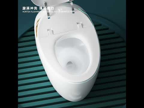 Ceramic Gray Automatic Smart Toilet product video