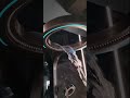 Luxury Smart Toilet video thumbnail
